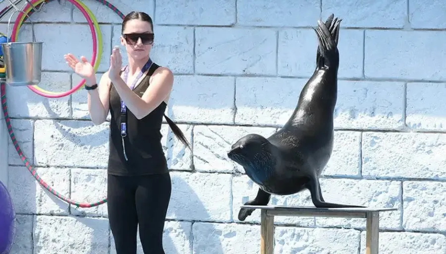 Antalya City Tour with Dolphin Show photo 12